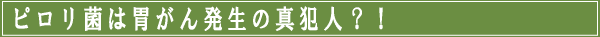 ピロリ菌は胃がん発生の真犯人?
