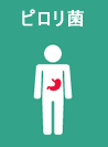 �s�����ی����ɂ���