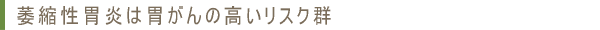 萎縮性胃炎は胃がんの高いリスク群