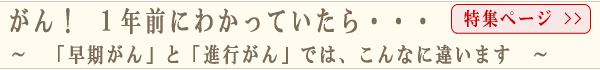 �f���J�����t�����L�b�g���i���C���A�b�v�y�[�W��