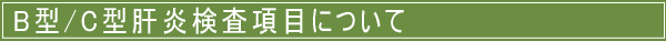 B�^/C�^�̉��Z���t�`�F�b�N�������ڂɂ���