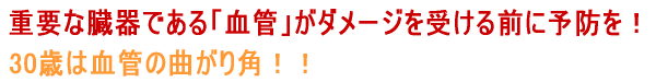���ǂ��_���[�W���󂯂�O�ɗ\�h���I
