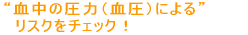�����̈��́i�����j�ɂ�郊�X�N���`�F�b�N